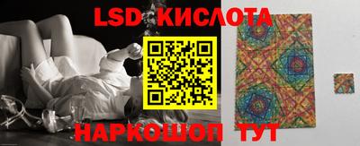 прущие грибы Балаково