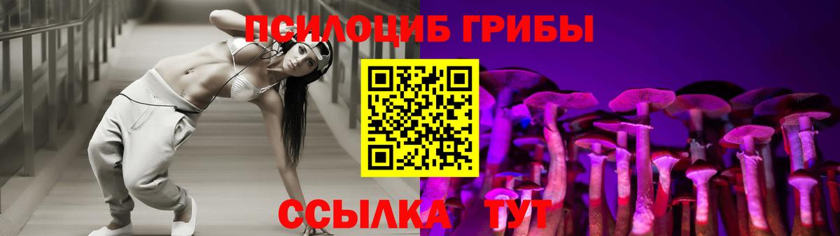 Джанкой  купить  сайты  Вход с VPN  Псилоцибиновые грибы Psilocybe 