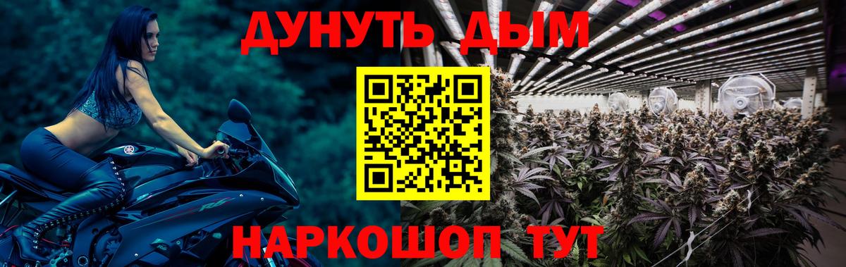 Каннабис SATIVA & INDICA Джанкой